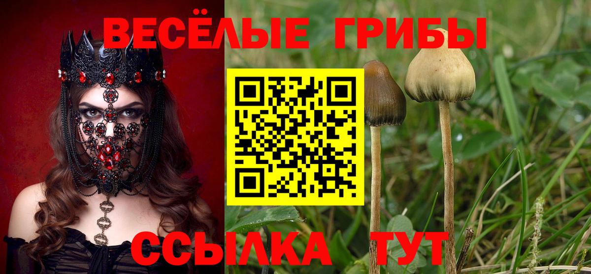 Галлюциногенные грибы мицелий  сколько стоит  Вход с VPN  Орёл  Псилоцибиновые грибы Cubensis 
