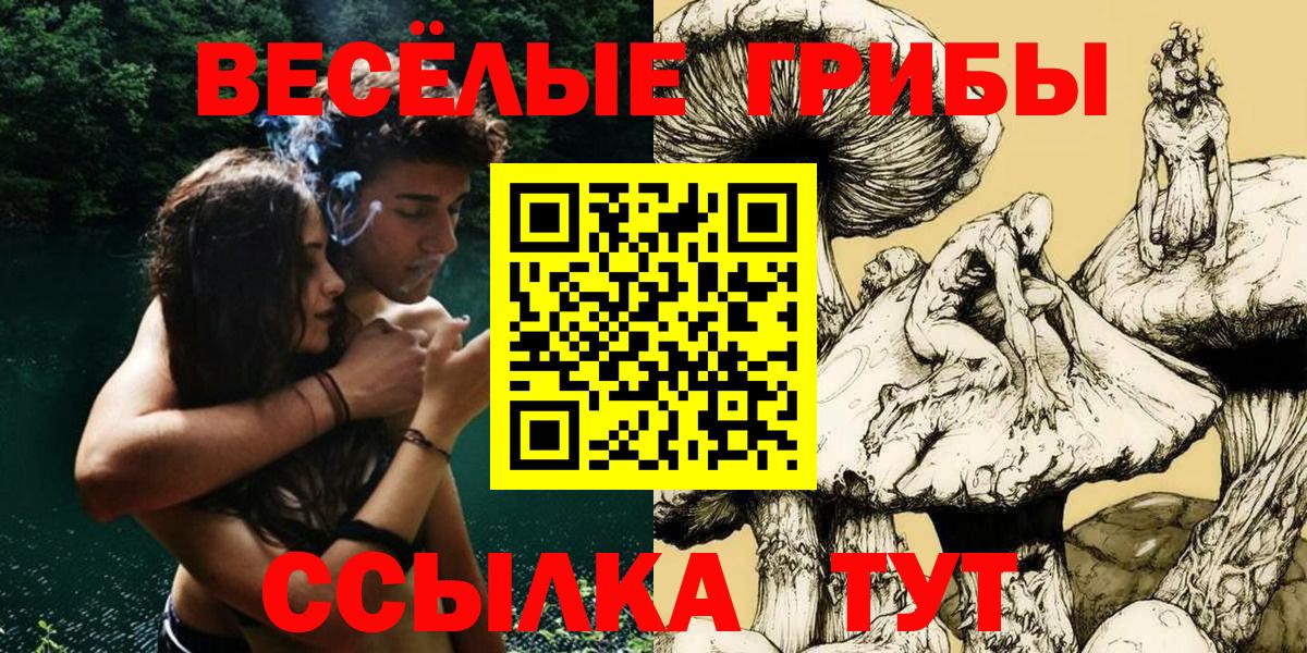 Галлюциногенные грибы мицелий Орёл